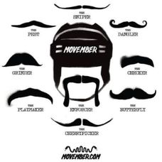 Movember - Team