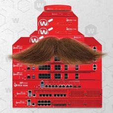 Movember - Team