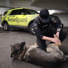 Shops securiguard k9